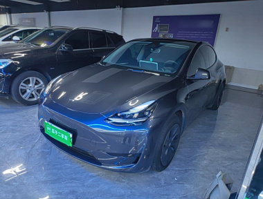 Tesla Model Y 2025 car image 