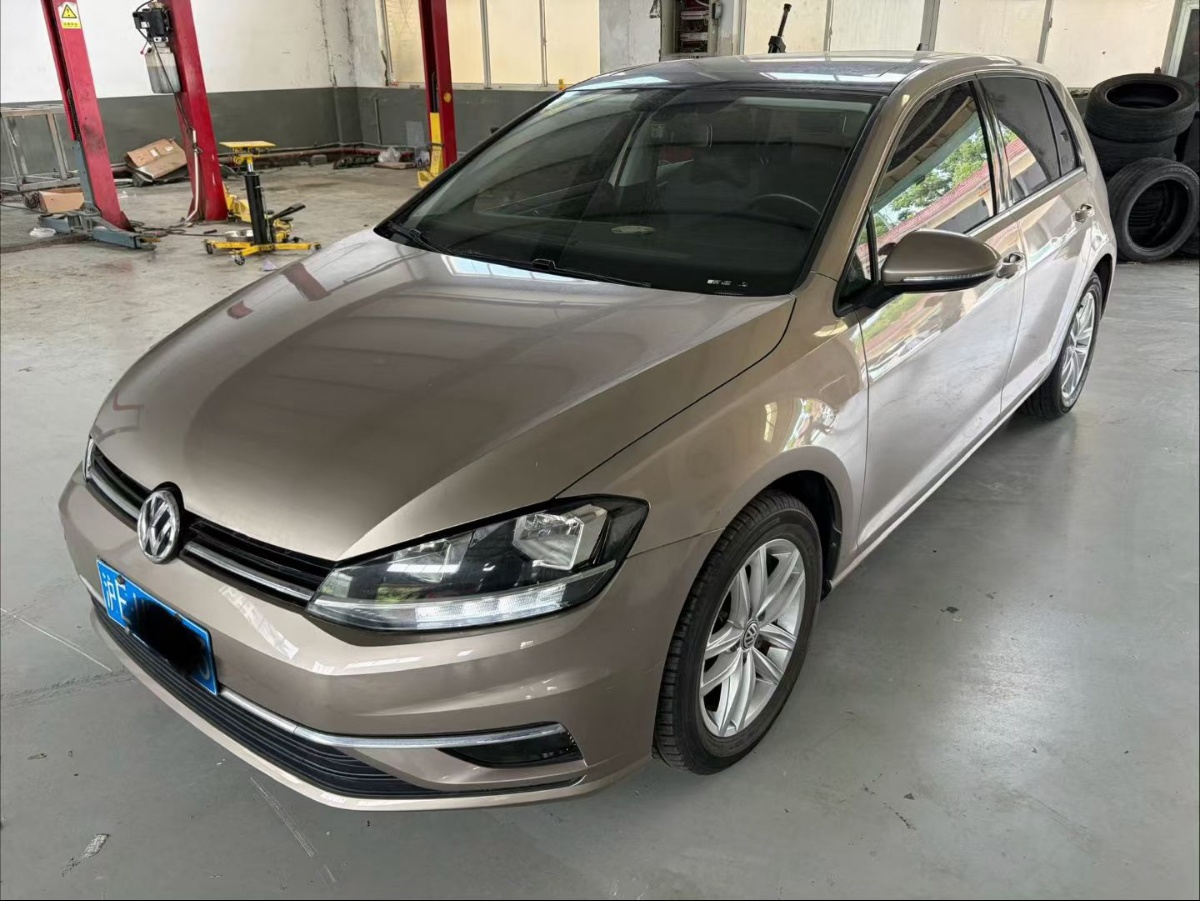 Volkswagen Golf 2019 Volkswagen Golf 2019 car image