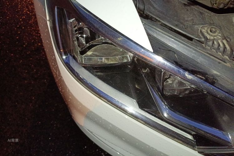 Volkswagen Bora 2019 car image #8