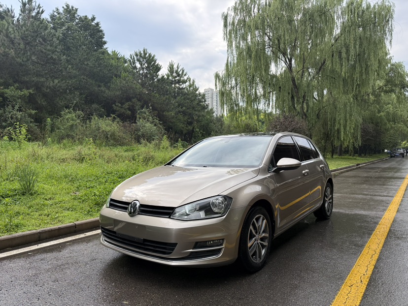 Volkswagen Golf 2016 Volkswagen Golf 2016 car image