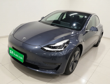 Tesla Model 3 2020 Tesla Model 3 2020 car image