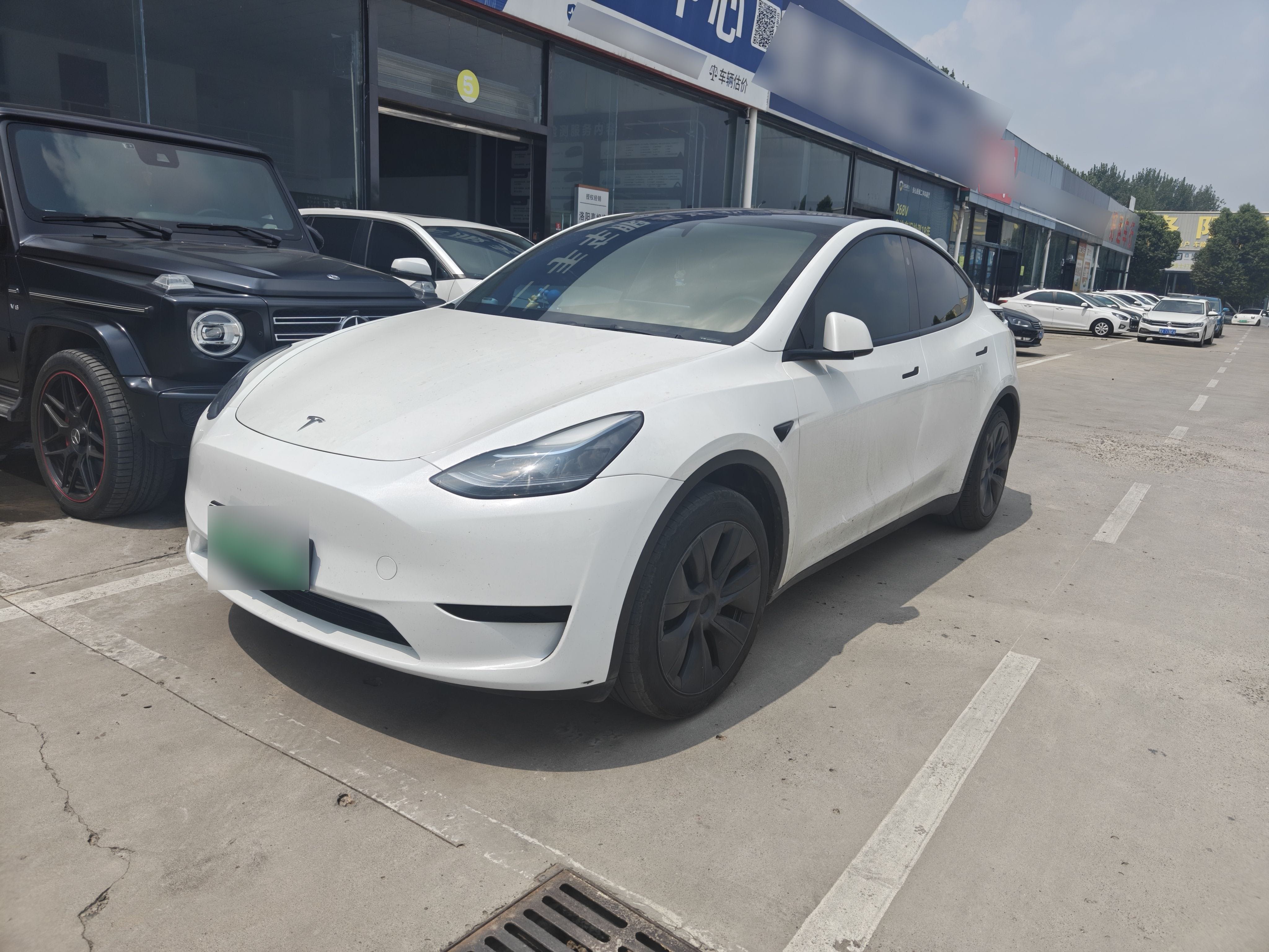 Tesla Model Y 2024 car image 