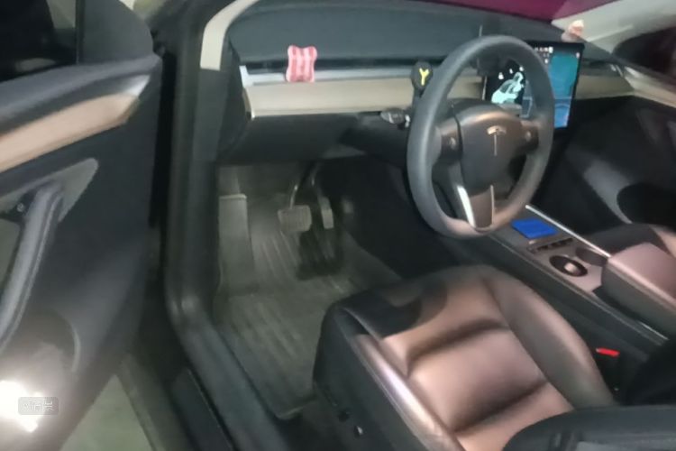 Tesla Model Y 2021 car image #18