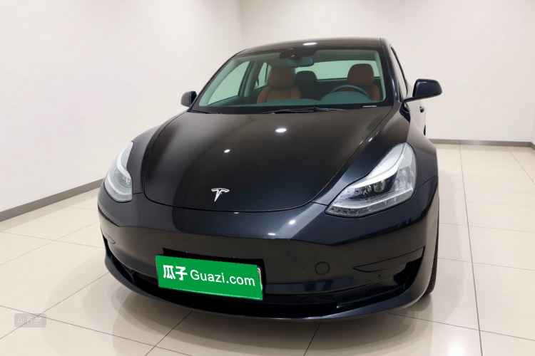 Tesla Model 3 2021 #3 Tesla Model 3 2021 car image #3