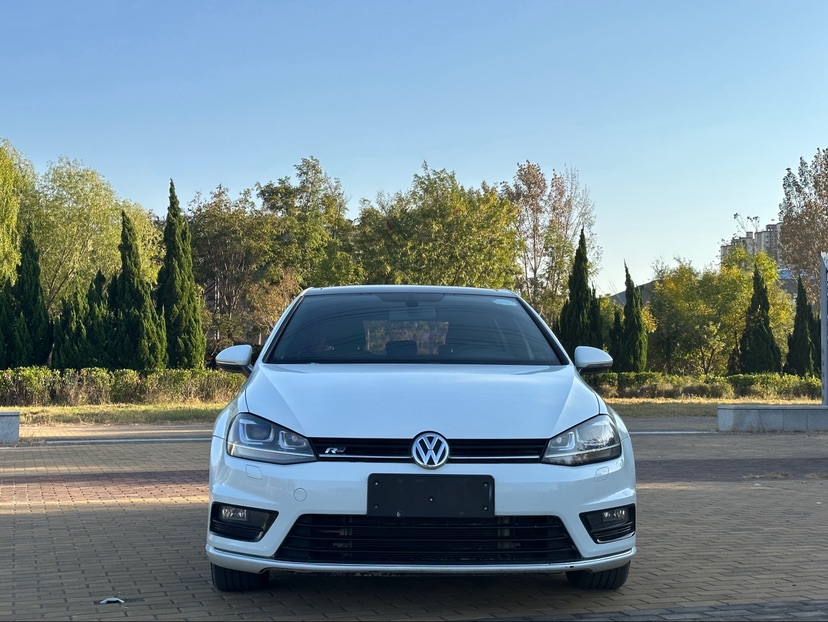 Volkswagen Golf 2016 car image #2