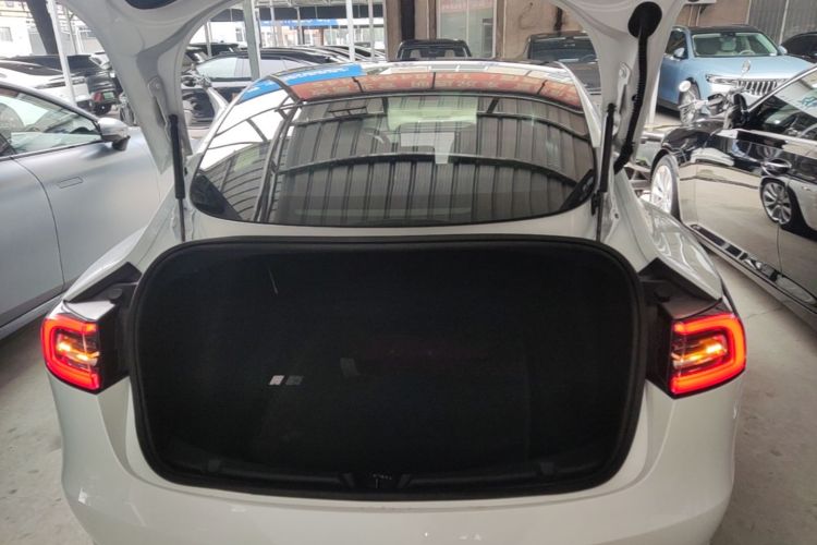 Tesla Model 3 2020 car image #19