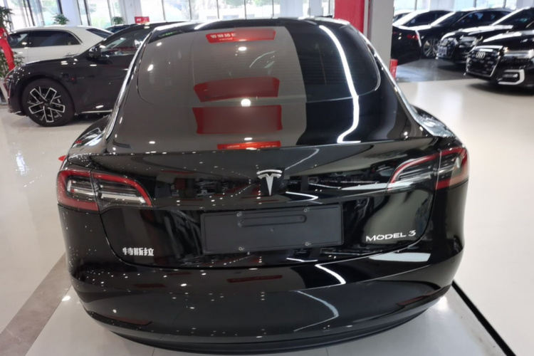 Tesla Model 3 2021 #6 Tesla Model 3 2021 car image #6