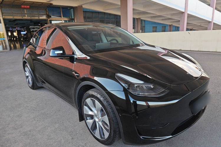 Tesla Model Y 2023 #6 Tesla Model Y 2023 car image #6