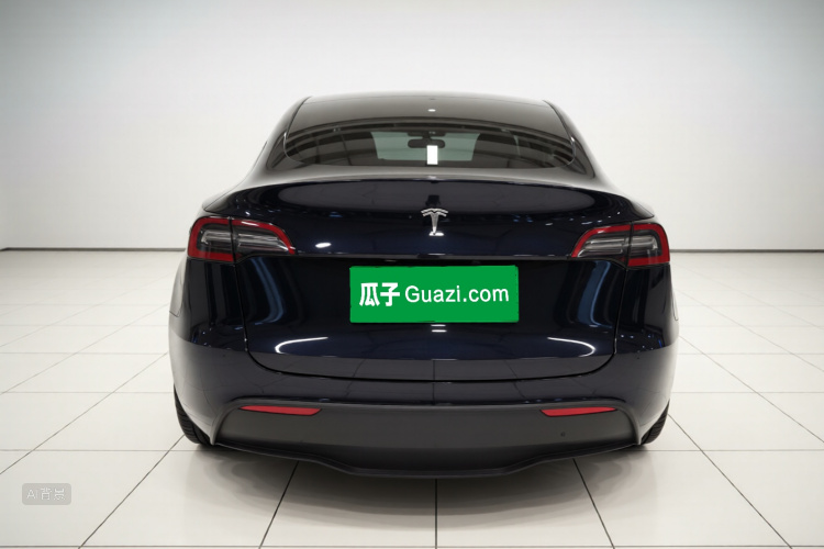 Tesla Model Y 2023 car image #6