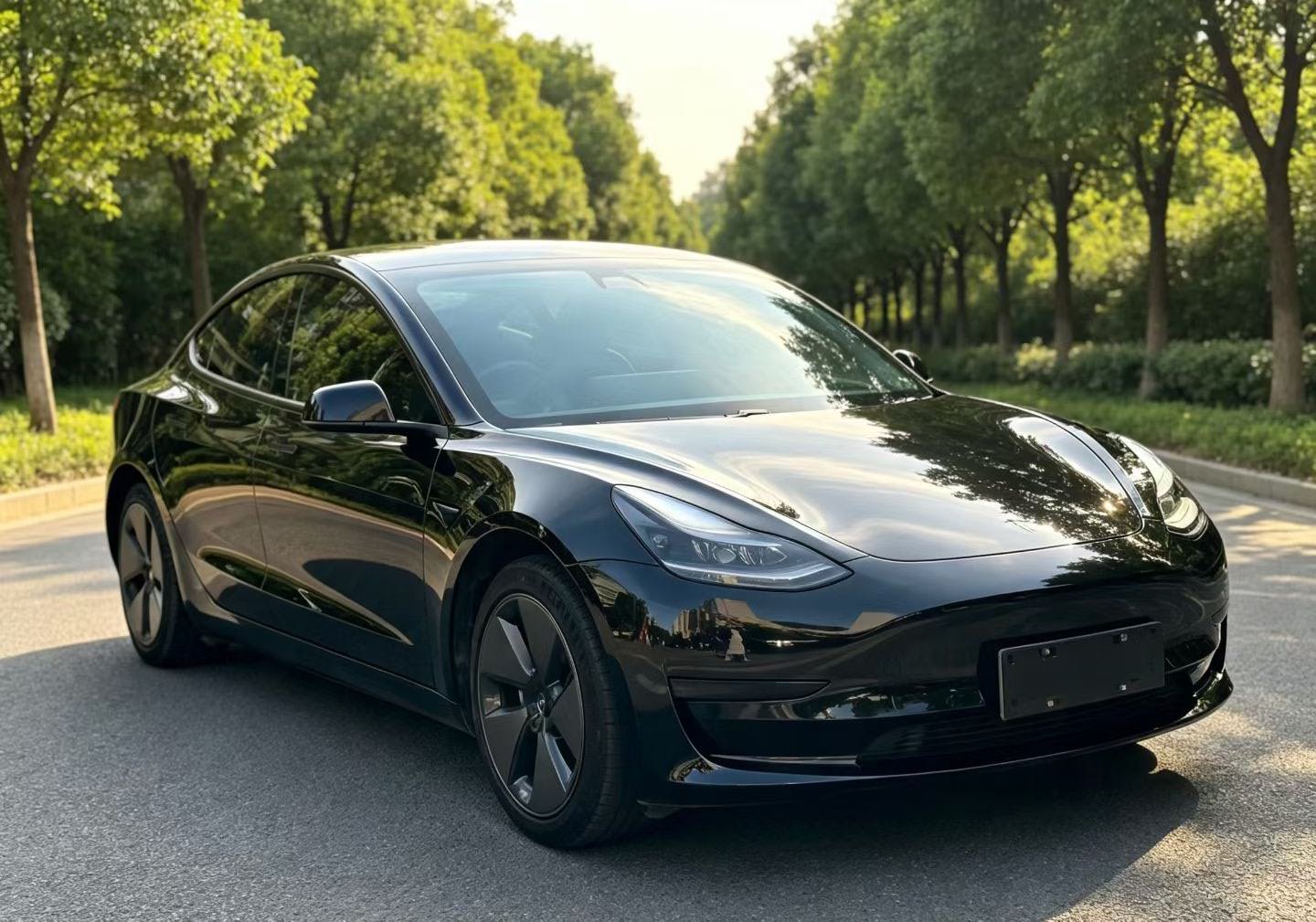 Tesla Model 3 2021 #4 Tesla Model 3 2021 car image #4