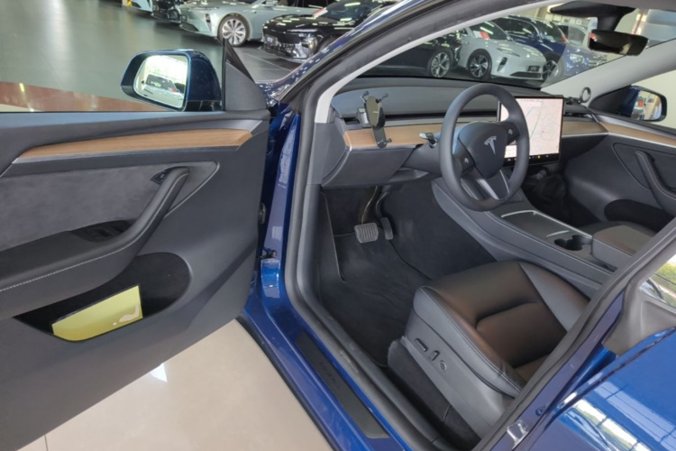 Tesla Model Y 2021 car image #16