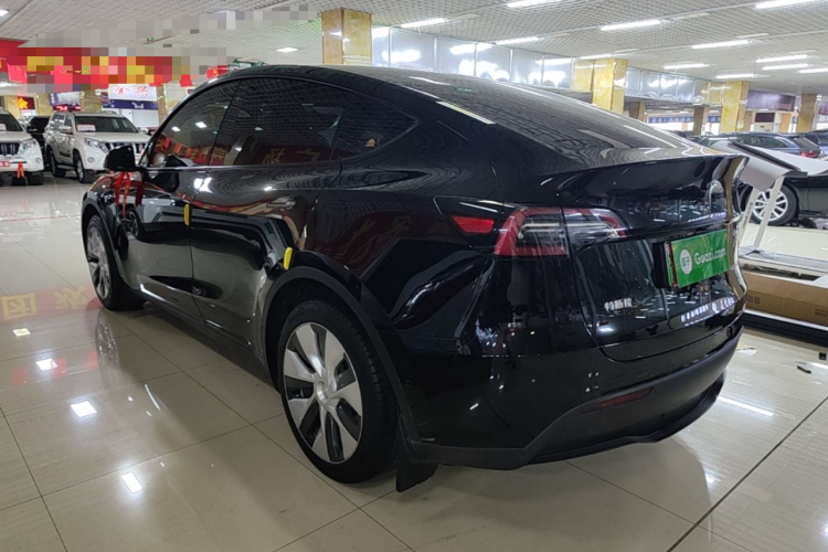 Tesla Model Y 2023 #7 Tesla Model Y 2023 car image #7
