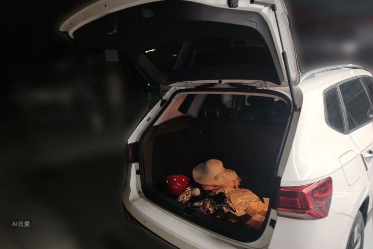 Volkswagen Tharu 2019 #21 Volkswagen Tharu 2019 car image #21