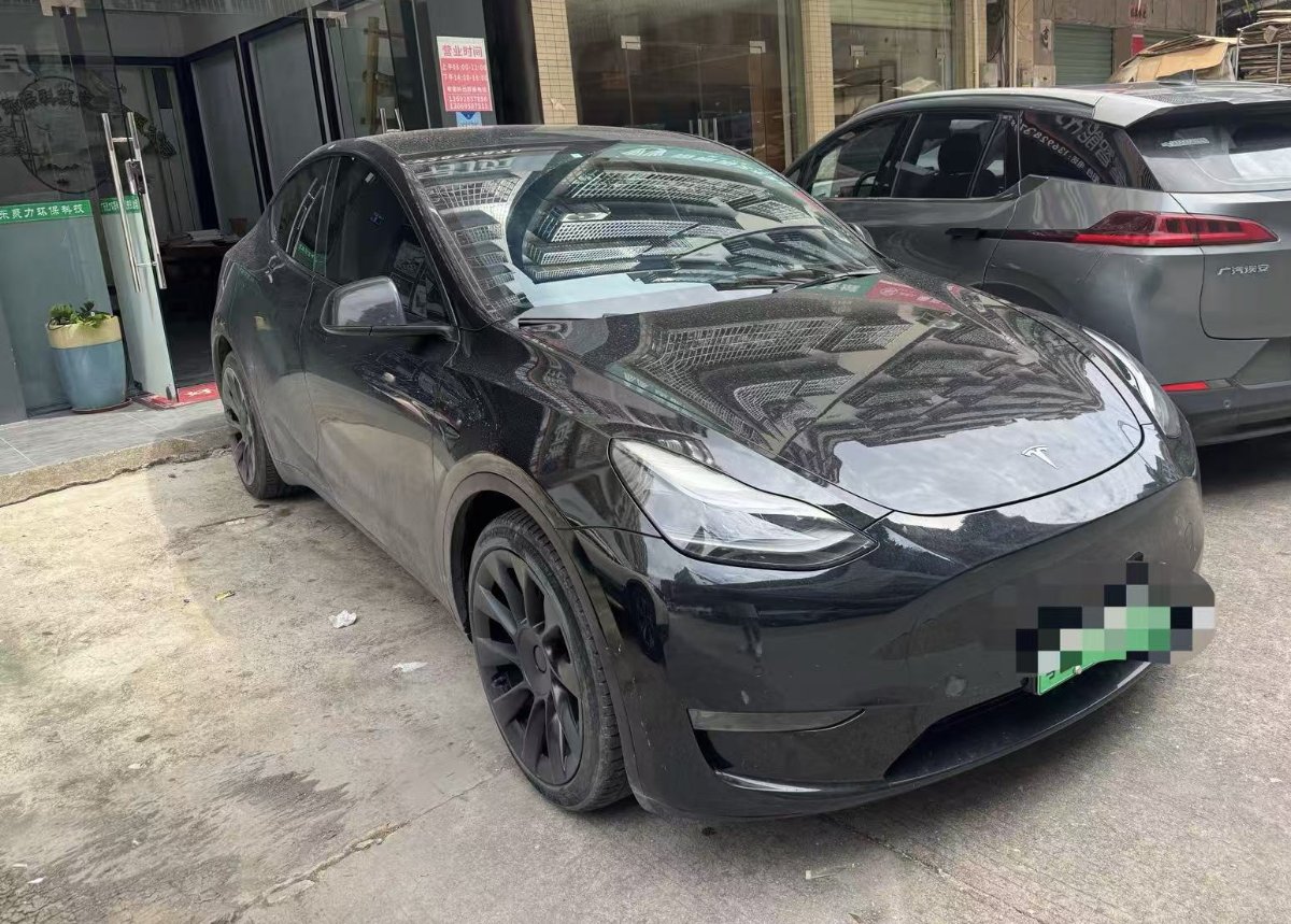 Tesla Model Y 2021 Tesla Model Y 2021 car image
