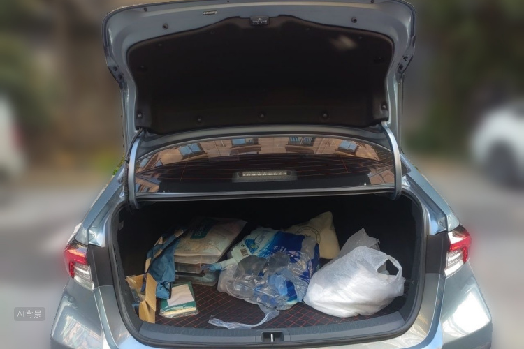 Toyota Corolla 2021 car image #21