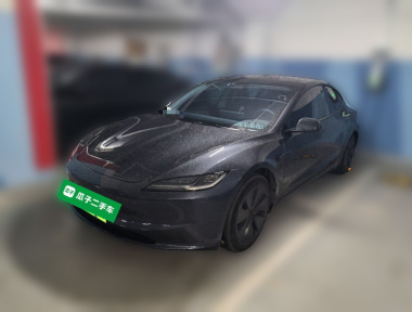 Tesla Model 3 2024 car image 