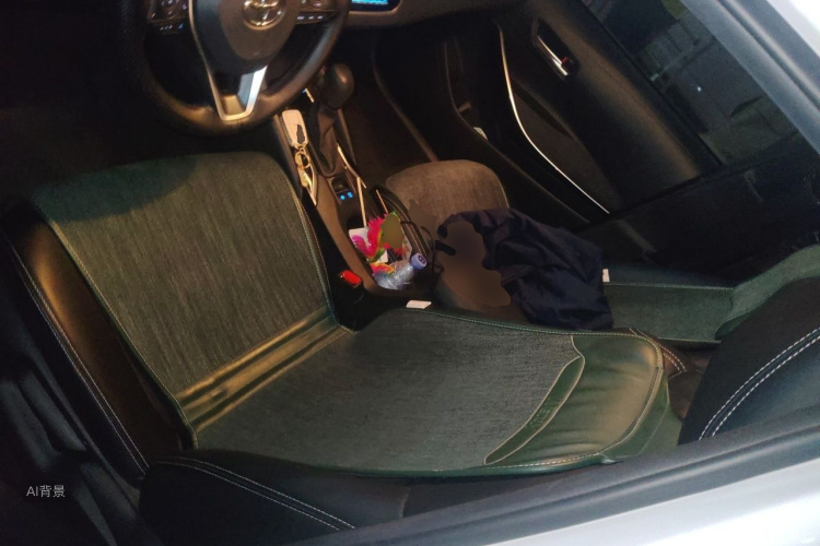 Toyota Corolla 2022 car image #17