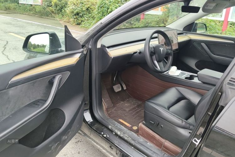 Tesla Model Y 2023 car image #18