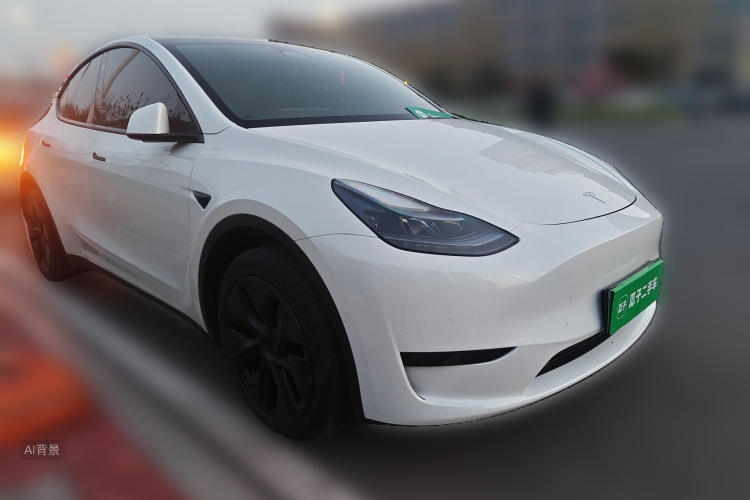 Tesla Model Y 2024 car image #4