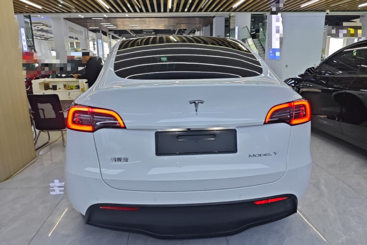 Tesla Model Y 2023 car image #4