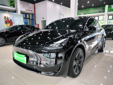 Tesla Model Y 2024 Tesla Model Y 2024 car image