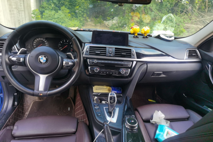 BMW 3 Series 2019 car image #11
