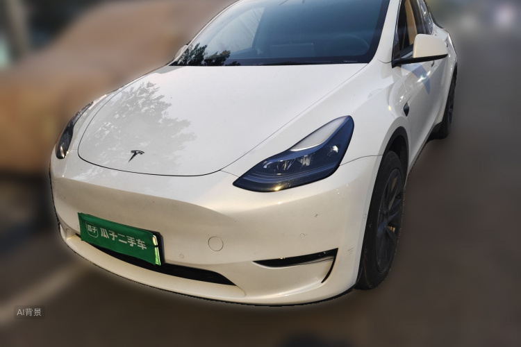 Tesla Model Y 2024 immagine di auto #2