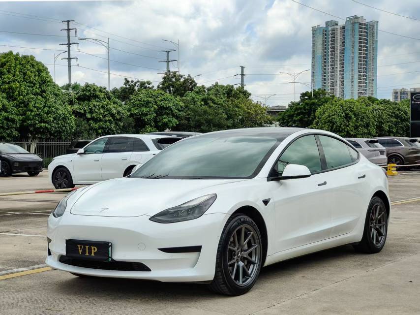 Tesla Model 3 2021 Tesla Model 3 2021 car image