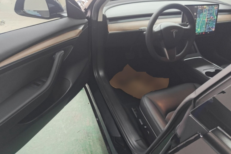 Tesla Model 3 2021 car image #16