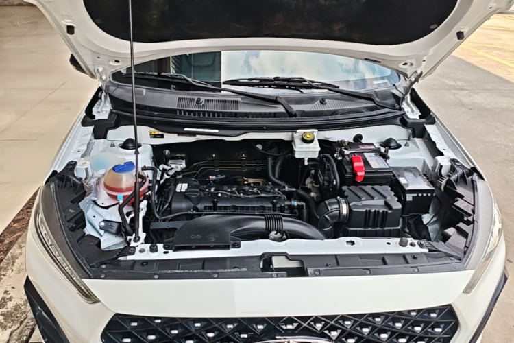 Chery Tiggo 3x 2022 car image #20