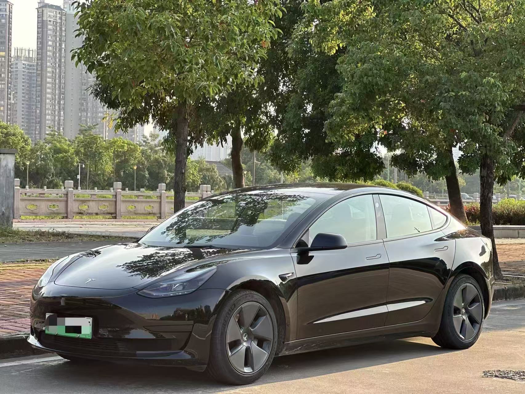 Tesla Model 3 2021 Tesla Model 3 2021 car image