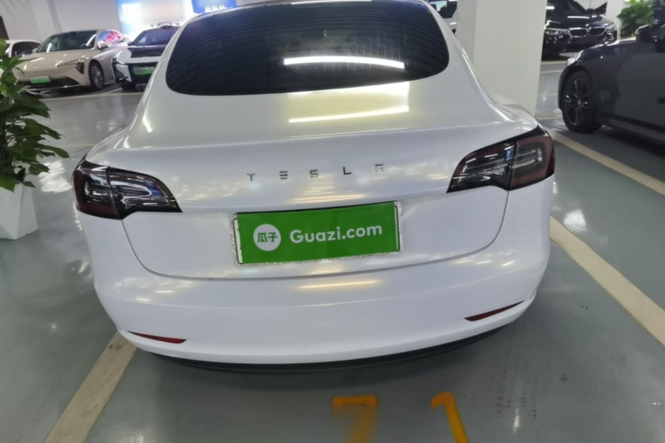 Tesla Model 3 2020 #6 Tesla Model 3 2020 car image #6