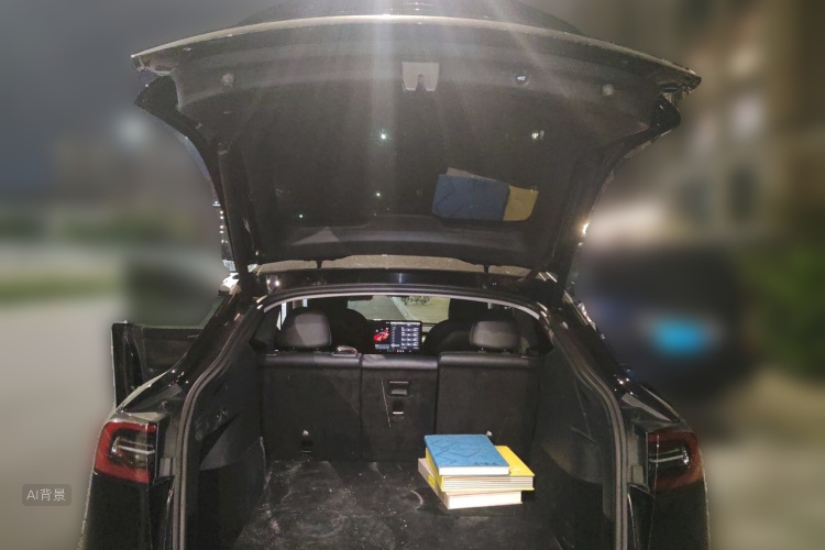 Tesla Model Y 2021 car image #21