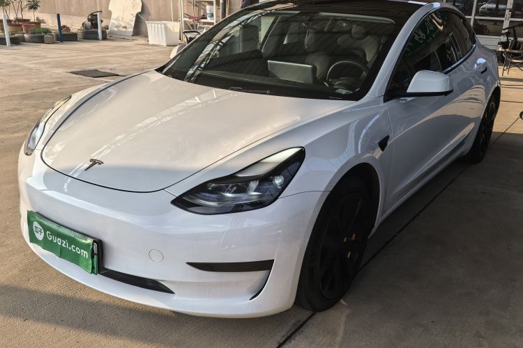 Tesla Model 3 2021 #2 Tesla Model 3 2021 car image #2
