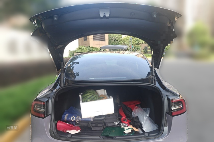 Tesla Model 3 2022 car image #21