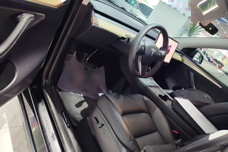 Tesla Model Y 2022 car image #16