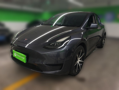 Tesla Model Y 2022 car image 