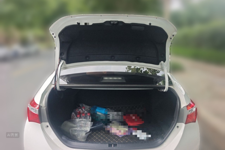 Toyota Corolla 2017 car image #21