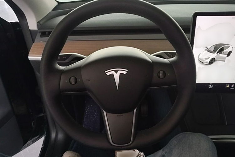 Tesla Model Y 2021 #11 Tesla Model Y 2021 car image #11