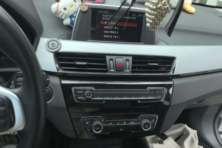 BMW X1 2018 car image #15