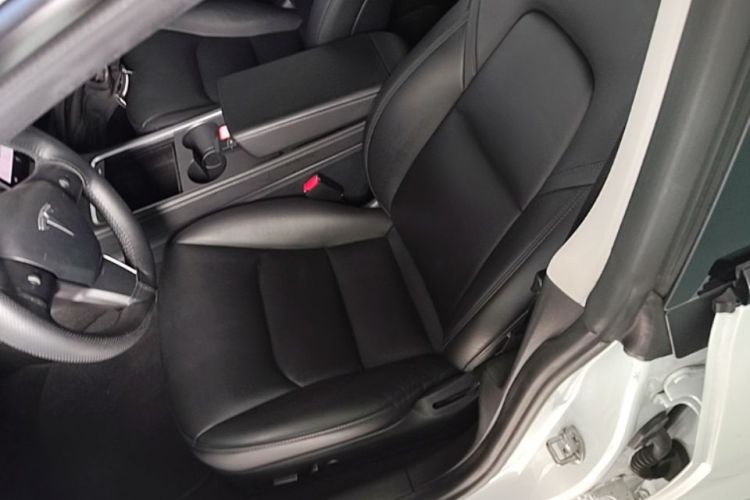 Tesla Model 3 2021 car image #15