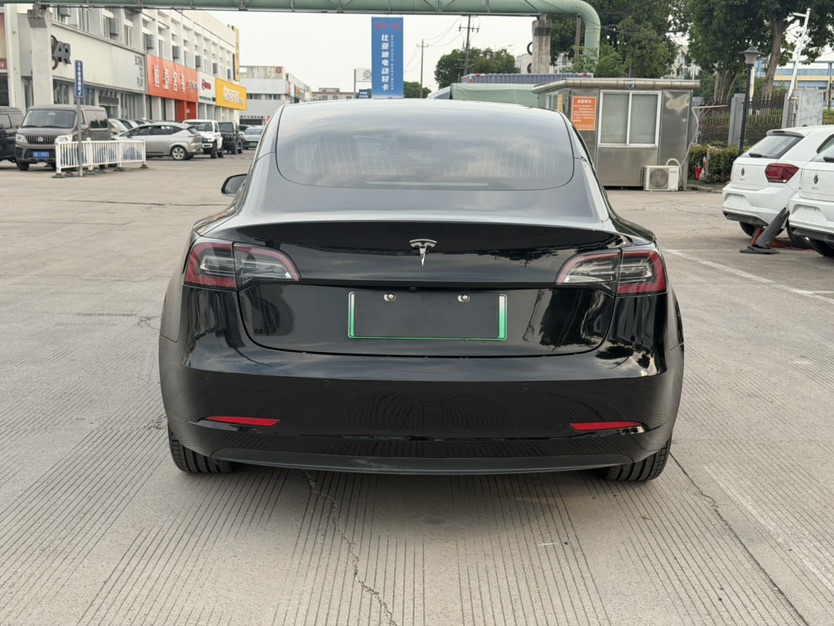 Tesla Model 3 2020 #8 Tesla Model 3 2020 car image #8