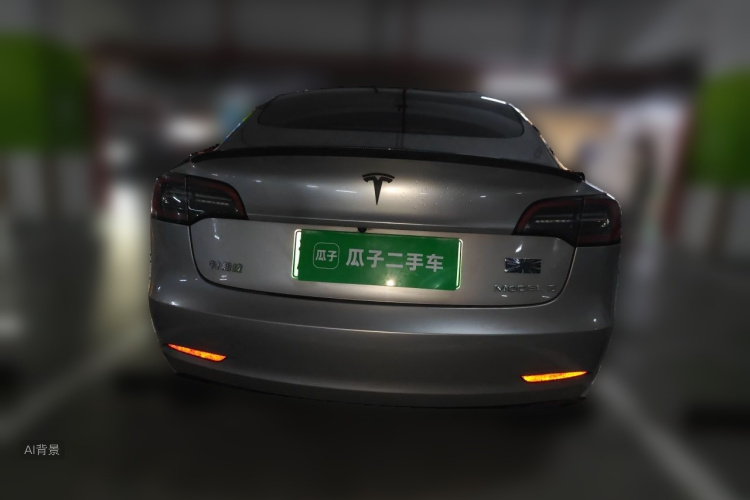 Tesla Model 3 2023 car image #6