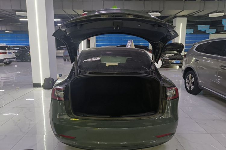 Tesla Model 3 2021 #19 Tesla Model 3 2021 car image #19
