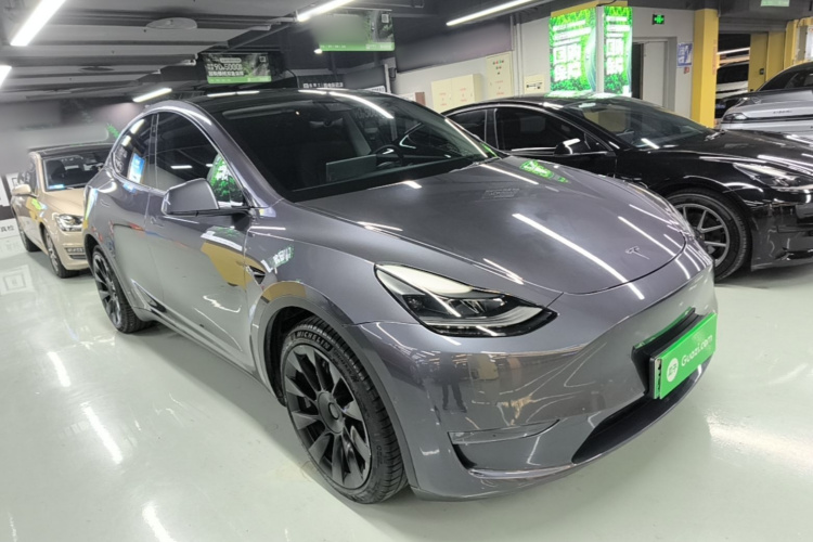 Tesla Model Y 2021 car image #4