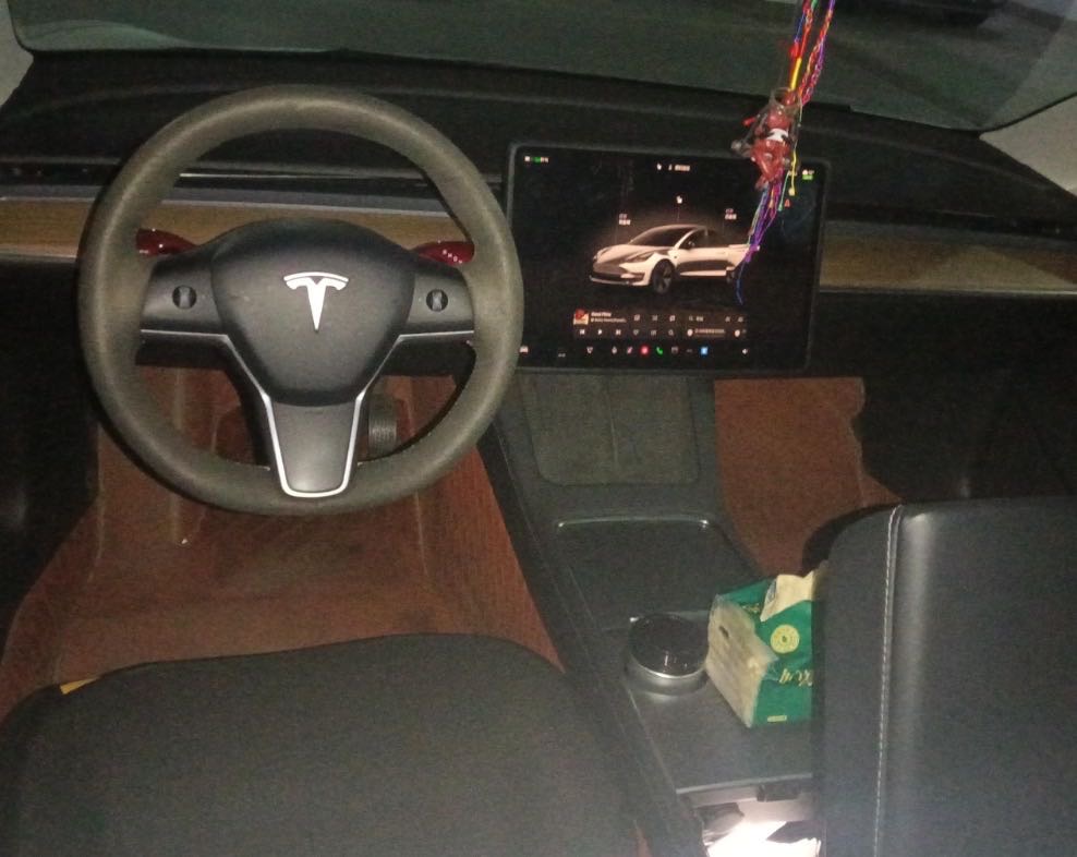 Tesla Model 3 2022 car image #5