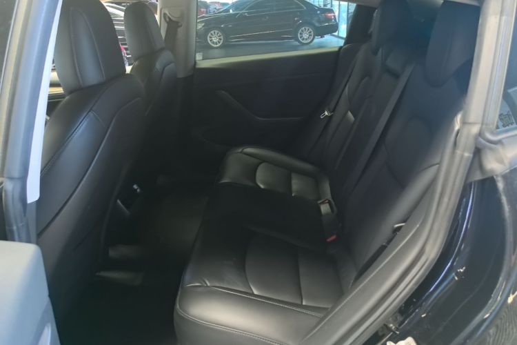 Tesla Model 3 2021 car image #17