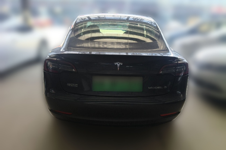 Tesla Model 3 2020 car image #6