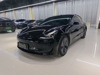 Tesla Model 3 2021 car image 