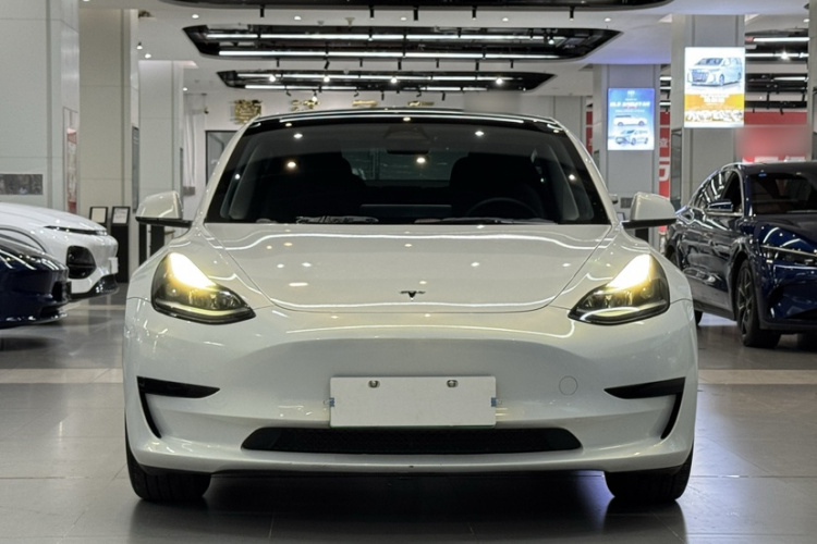 Tesla Model 3 2022 #6 Tesla Model 3 2022 car image #6